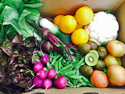 FARM TO HOME:  In its fourth year, Talley Farms Fresh Harvest delivers a variety of boxes of fresh fruits and vegetables to homes from Paso Robles to Orcutt. They&rsquo;ll soon be expanding into south Buellton, Santa Ynez, and Lompoc. - PHOTO COURTESY OF ANDREA CHAVEZ