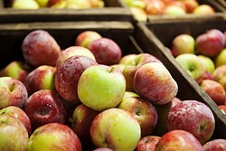 CUT ME OFF A PIECE OF THAT :  It&rsquo;s apple season in Avilla Valley, and the fruit stands are packed with the finest peak-season produce you&rsquo;ve ever had the pleasure of slurping up. - PHOTO COURTESY OF GOPHER GLEN