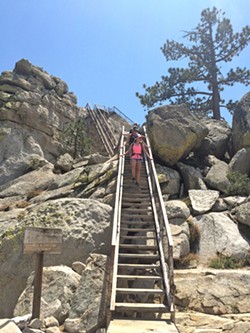 GOING DOWN A family of four walks down the stairs that lead up to Needles Lookout on the Giant Sequoia National Monument. Only four people are allowed up at a time, as the sign says. - PHOTO BY CAMILLIA LANHAM
