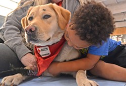 COMFORT After evacuating during the Thomas Fire to a nearby shelter, 3-year-old Davin hugs a Red Cross volunteer therapy dog owned by volunteer Carol Janssens. - PHOTO BY DERMOT TATLOW COURTESY OF THE RED CROSS