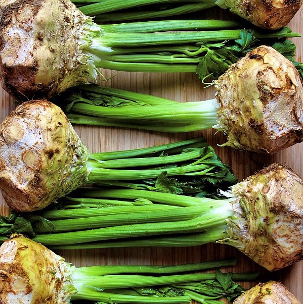ROOTED OUT Celery root grows year round at Bab&eacute; Farms in Santa Maria, where it's one of their more popular products. In 2018, the farm dedicated 34 acres to the root vegetable. - PHOTOS COURTESY OF BAB&Eacute; FARMS
