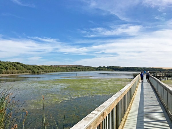 UP AND OVER A lovely footbridge traverses Oso Flaco Lake and takes you out to the beach dunes. - PHOTOS BY PETER JOHNSON