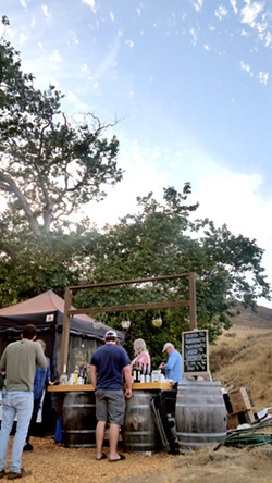 GOOD GROG Since the stage is set at Filipponi Ranch's property, the SLO winery offers its wines by the glass and the bottle for Shakespeare Festival patrons. - PHOTOS BY ANDREA ROOKS