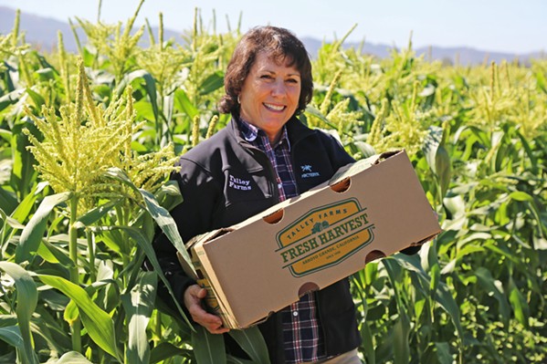 CSA BOXES SOAR Andrea Chavez, of Talley Farms, holds one of their popular farm boxes. Their produce boxes have been in demand since the pandemic, as many local farms have seen increases in subscribers since mid March's countywide and statewide shelter-in-place announcements. - PHOTO COURTESY OF ANDREA CHAVEZ