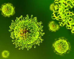 Amid first coronavirus-related death, Santa Barbara County prepares for economic recovery