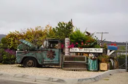Santa Barbara County allows some non-essential businesses to reopen for curbside pick-up