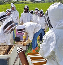 BEE SCHOOL In addition to running CBC, beekeeper Jeremy Rose co-teaches beekeeping at Cal Poly. The program has been running since the 1950s, with more than 100 hives and its very own honey room. - PHOTO COURTESY OF CBC