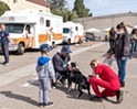 C.A.R.E.4Paws begins offering pet wellness clinics to Oceano in August