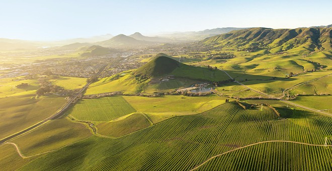 KEEPING IT COOL San Luis Obispo County's coastal wine region spans 5,000 planted acres with 20 grape varieties, led by chardonnay and pinot noir. Marine conditions create the state's coolest vineyard climate and one of the world's longest growing seasons.