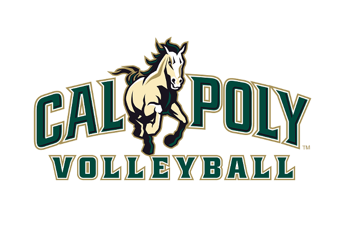 volleyball_wordmark.png