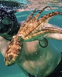 THROUGH HER EYES Craig Foster developed an unusual relationship with an octopus, who helps him see the world in a new light, in this Netflix documentary My Octopus Teacher.