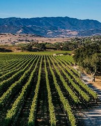 REJECTED The Santa Barbara Vintners Association’s proposed wine BID is still in the preliminary stages, but Lompoc already knows where it stands: The city council voted to reject the proposal at a recent meeting.