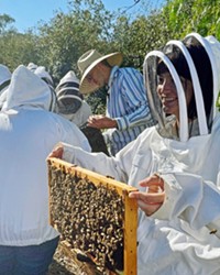 BEE WHISPERER California Bee Company owner Jeremy Rose (center, in striped shirt) dons a hat but no protective suit while teaching at Cal Poly. He is slated to speak at Paso Robles' Golden Oak Honey and Pumpkin Festival on Oct. 23.