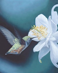 BIRD IS THE WORD One of Minnesota-based artist Susan McDonnell's paintings featured in Cal-NAM's new group exhibition&mdash;The Birds and the Bees and More: Pollinators&mdash;is Hummingbird and Aquilegia.