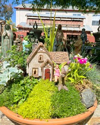 TINY HOME Design and build your own little fantasy world to take root in your garden at the upcoming Create a Fairy Garden workshop at the Cambria Nursery and Florist on June 8.