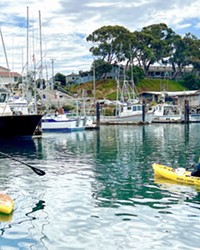 PADDLE PALS Using a special software for signing up, SeaLife Stewards always conduct their shifts in pairs—either in kayaks and/or on stand-up paddleboards.