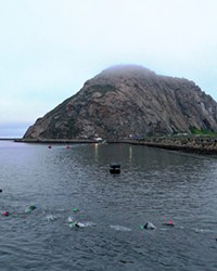 CURRENTLY CANCELED Strong currents during the 1.3-mile swim of the 2024 Ironman in Morro Bay caused more than 300 competitors to drop out of the race.