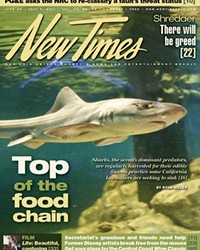 THE FIN ISSUE