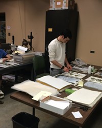 BOTANY FOR THE MASSES: CAL POLY'S HOOVER HERBARIUM WELCOMES VOLUNTEERS