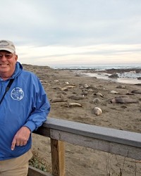 BEACH HEADS :  George Larson is one of many docents who put elephant seals in perspective for visitors from around the world.