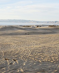 ROOM TO BREATHE: NEW LAWSUIT PRECEDED MOST RECENT COURT RULING ON OCEANO DUNES DUST RULE