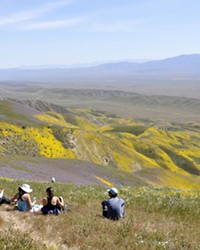 DEADLINE LOOMS Federal recommendations about the future status, boundaries, and protections of the Carrizo Plain National Monument are expected by Aug. 24. The Carrizo was one of 27 national monuments under review by the U.S. Department of the Interior.