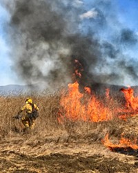 ON FIRE SLO County let a fire that broke out this summer burn to 250 acres because a prescribed burn was planned for the same area later in the week.