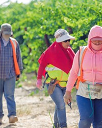 FARM HOUSING WANTED San Luis Obispo County is overhauling its farmworker housing regulations to address a severe shortage of units.
