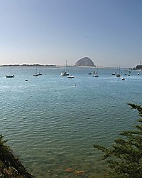 SOLID TOGETHER The city of Morro Bay takes initial steps to create a financial and economic recovery plan.