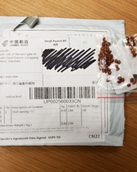 SOWING CONFUSION Residents throughout the Central Coast and nation are receiving unsolicited packages of seeds, many of which appear to be coming from China.