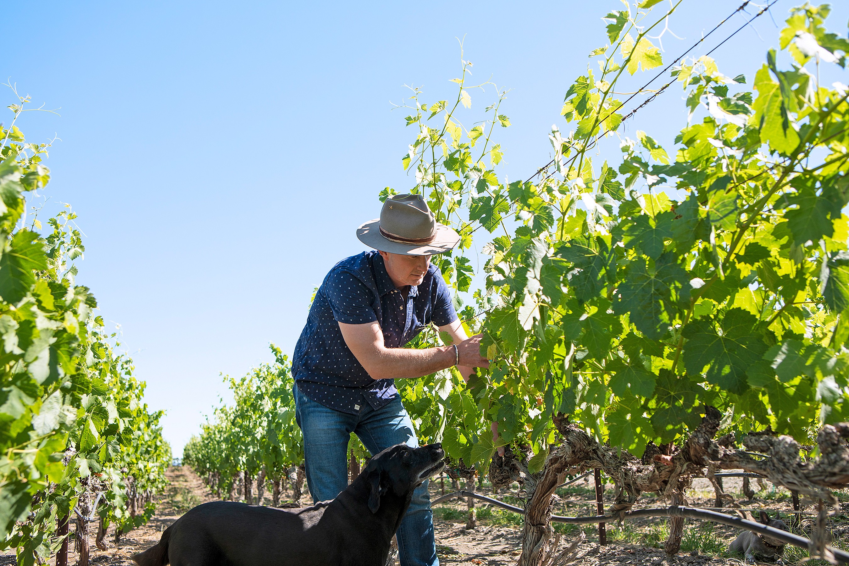 2020 Paso Robles Wine Industry Persons of the Year - American