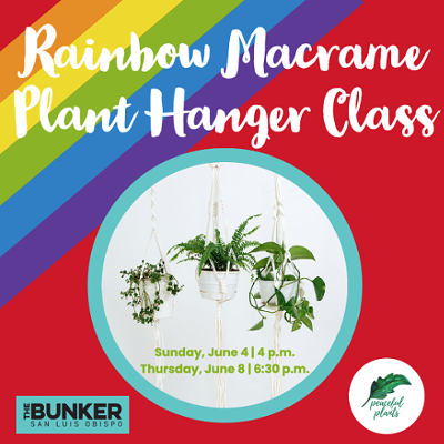 Rainbow Macrame Plant Hanger Class