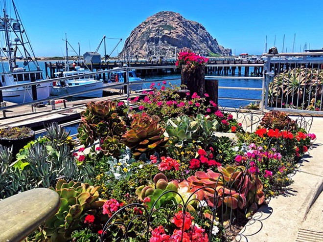 A Morro Bay citizens group advocates for an initiative it claims could  block construction of a battery storage facility, News, San Luis Obispo