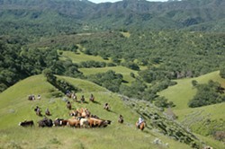 PHOTO COURTESY OF THE CALIFORNIA RANGELAND TRUST - OPENLY PROTECTED Keeping its rich history intact, the Avenales Ranch celebrates its official conservation.