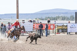 PHOTO COURTESY OF AIMEE DAVIS - WRANGLING A IN PASSION Aimee Davis has been participating in the rodeo scene for several years now, and she continued by joining the Cuesta College rodeo team.