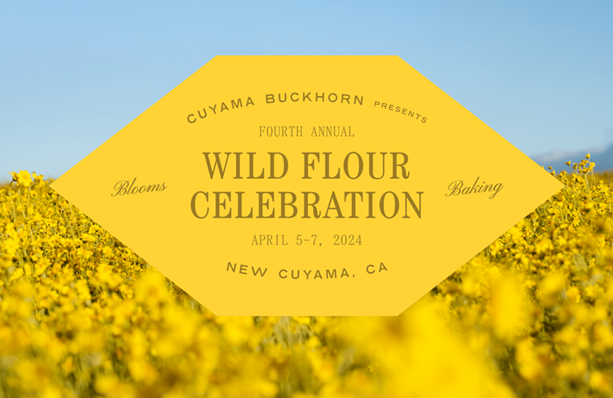 Wild Flour Celebration at Cuyama Buckhorn