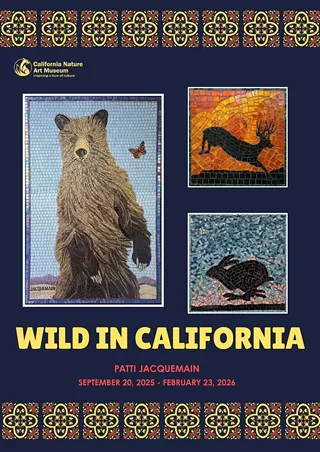 Image: Wild in California Solo Exhibition