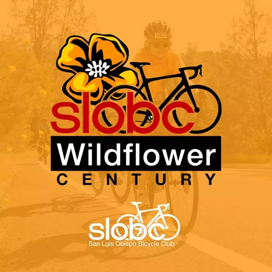 slobc-wildflower.webp