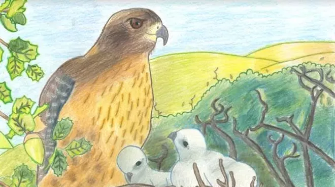 Image: Wonders of the Oak Woodlands Youth Art Show: In Support of LCSLO
