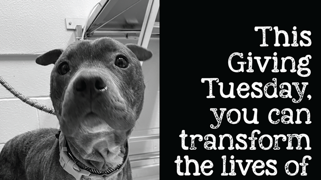 Image: Woods Humane Society Giving Tuesday Donation Match