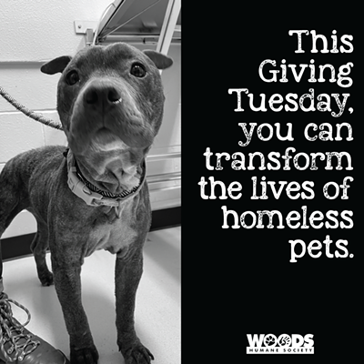 All donations to Woods Humane Society will be doubled through Giving Tuesday, November 28, 2023.