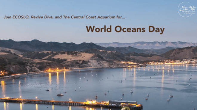 Image: World Oceans Day Beach Cleanup