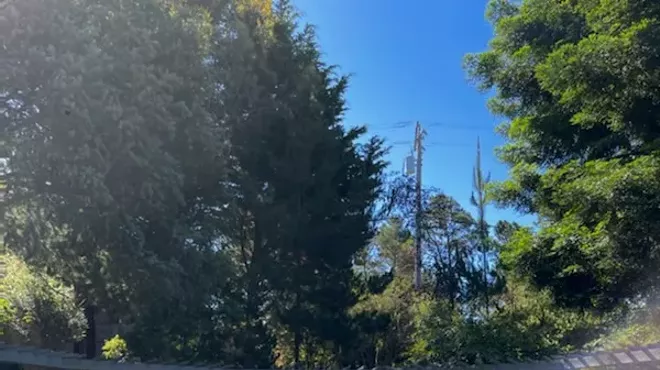 Image: Yoga In Nature in Cambria